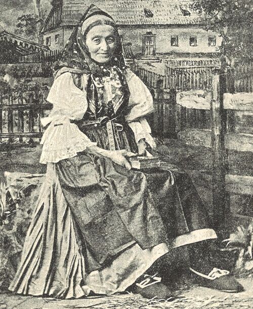 ořez